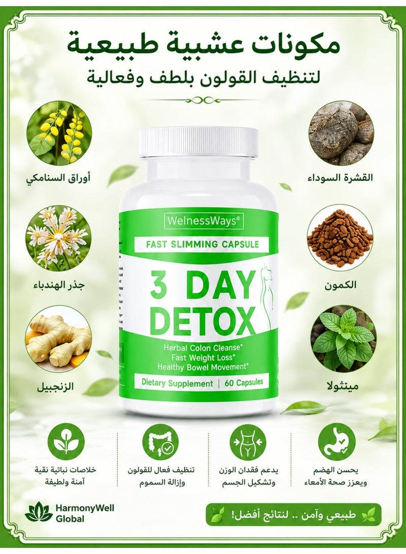 WelnessWays 3-Day Fast-Acting Detox & Slimming Capsules | Herbal Colon Cleanse + Rapid Fat Burning | 60 Capsules Dietary Supplement - Image 4