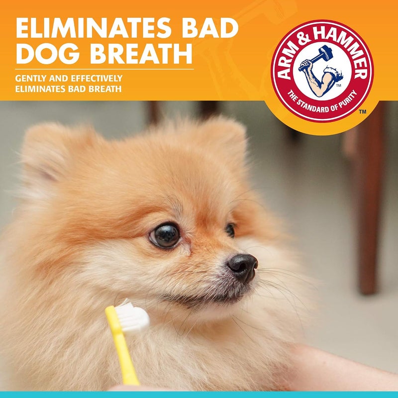 for Pets Clinical Care Dental Enzymatic Toothpaste for Dogs | Soothes Inflamed Gums | Safe for Puppies | Fresh Breath Vanilla Ginger - 72 Pack - Image 2