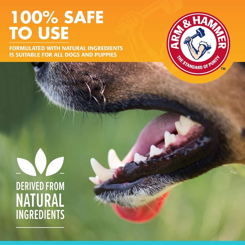 for Pets Clinical Care Dental Enzymatic Toothpaste for Dogs | Soothes Inflamed Gums | Safe for Puppies | Fresh Breath Vanilla Ginger - 72 Pack - Image 4