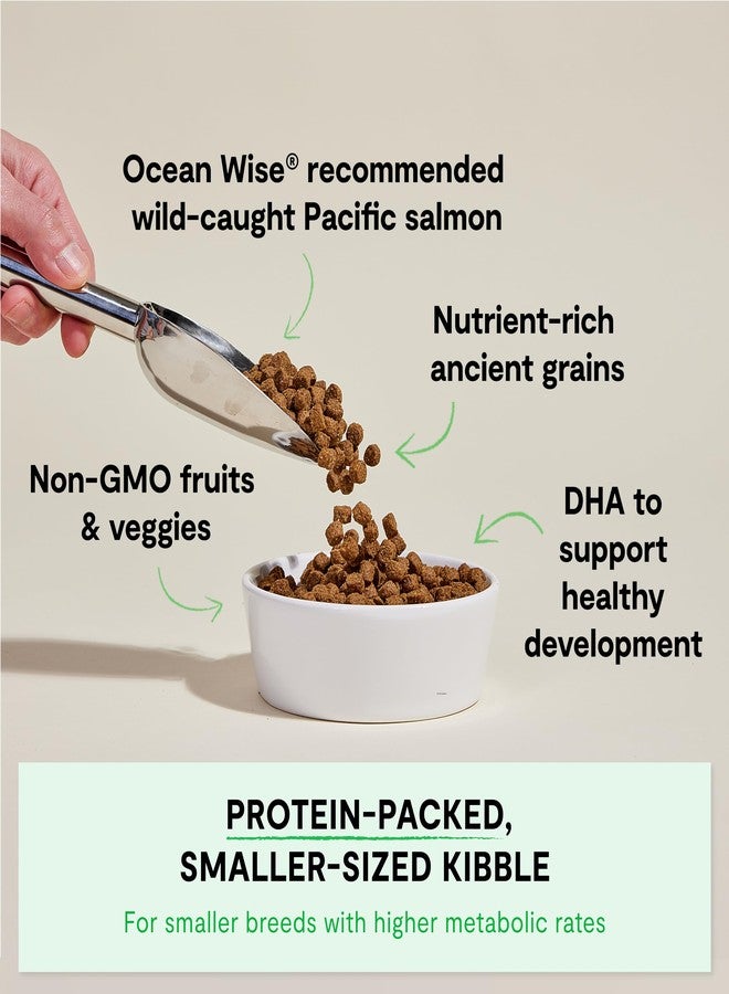Open Farm أوبن فارم، طعام جاف للجراء من الحبوب القديمة، غني بالبروتين والعناصر الغذائية، 90% بروتين حيواني ممزوج بفواكه وخضراوات وأطعمة فائقة غير معدلة وراثيًا، بنكهة سمك السلمون، كيس 4 أرطال - Image 2