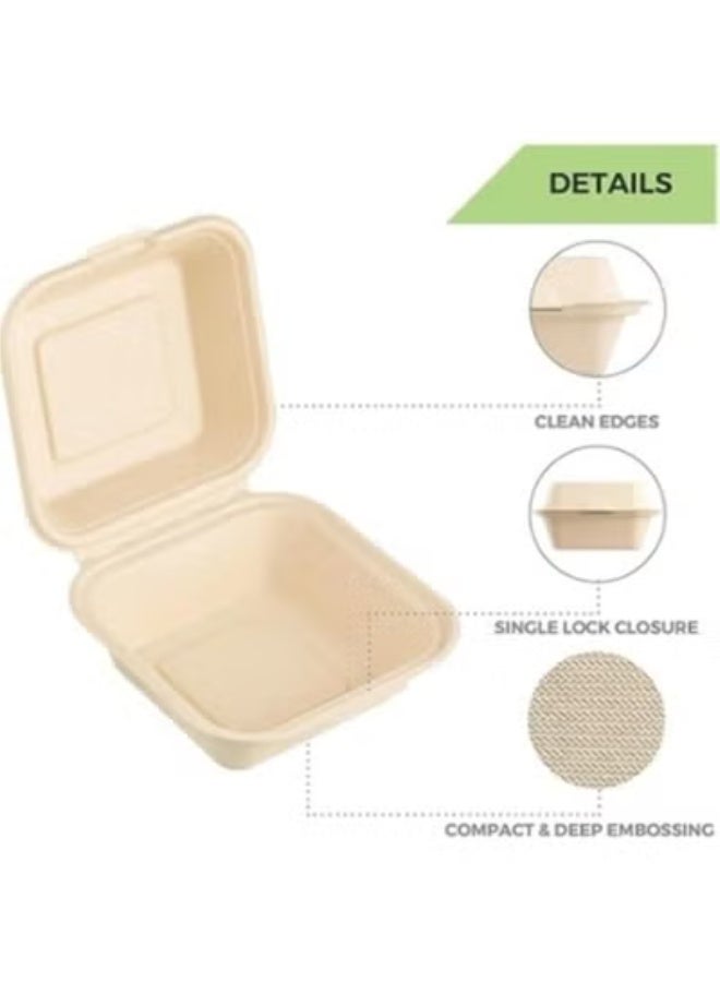 ايكواي Ecoway 6 Inch Food Box Container Made With Bagasse Sugar Cane Fibers For Meals & Dessert, Take Away Container, Disposable, Eco-friendly, Compostable, Restaurants - Pack Of 50, White - Image 2