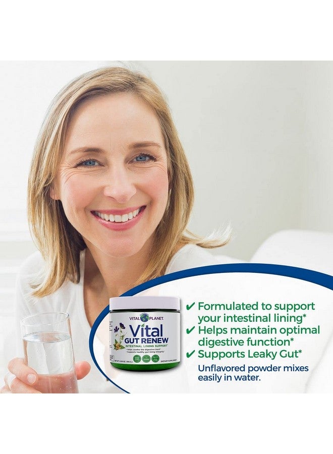 Vital Planet Vital Gut Renew Powder Supplement Formulated With Lglutamine Ginger Root Licorice Root And Organic Aloe Vera To Assist With Intestinal Lining And Leaky Gut Repair 6000Mg 6.88 Oz - Image 4