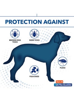 Hartz Hartz UltraGuard Dual Action Flea & Tick Topical Dog Treatment and Flea and Tick Prevention, 6 Months, 5-14 Pound Dogs 6-count(Pack of 1)  - Image 4