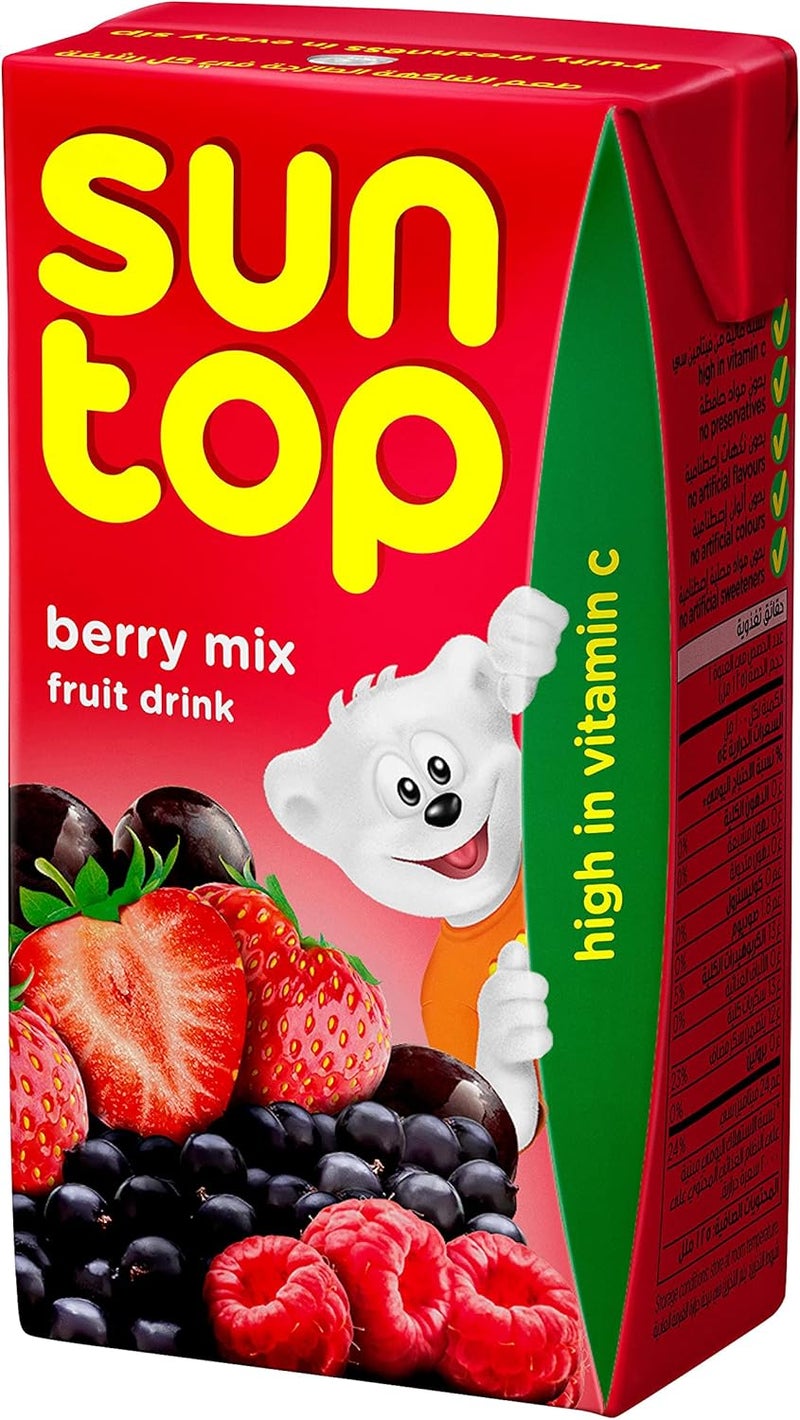 Suntop Berry Mix Juice 18 X 125 ml - Image 3
