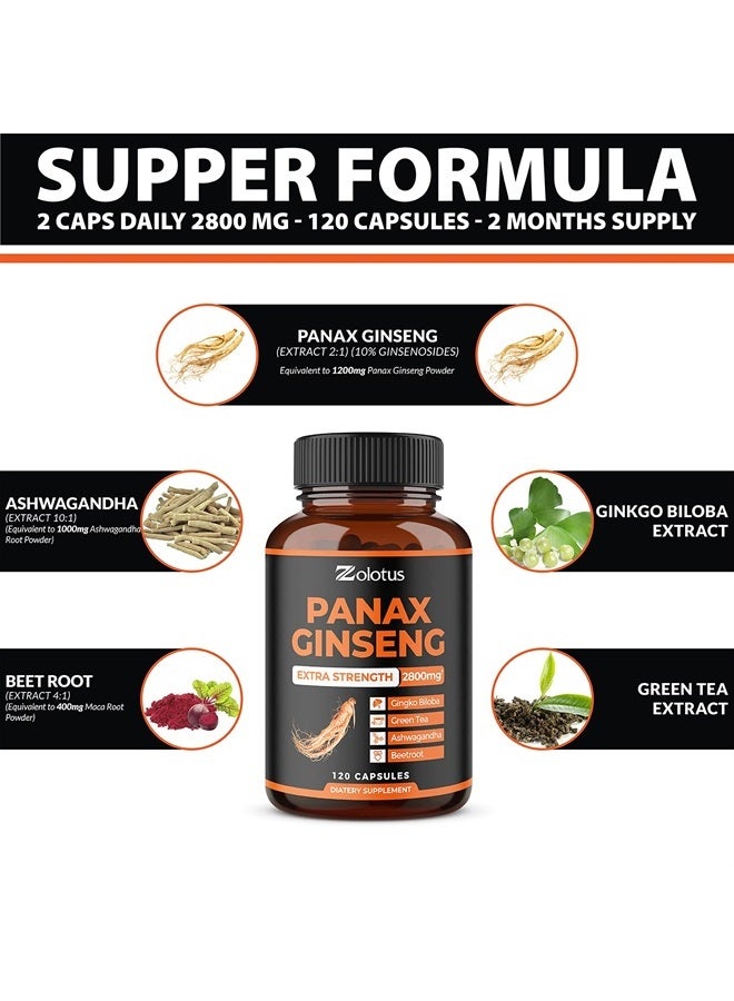 Zolotus Korean Red Panax Ginseng + Ginkgo Biloba - 2800mg Extra Strength with Ashwagandha, Beetroot, Green Tea - Support Strength, Stamina, Energy Production & Mood Balance - 120 Capsules - Image 2
