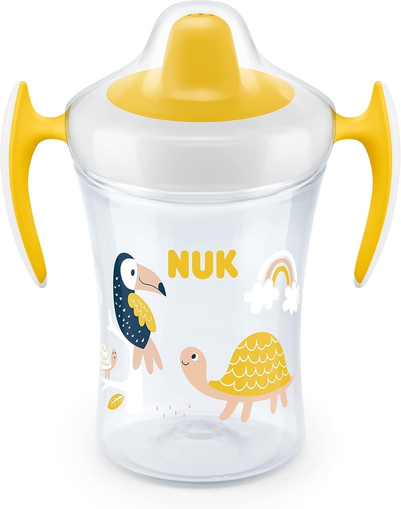 NUK Trainer Sippy Cup with Soft Spout - Image 1
