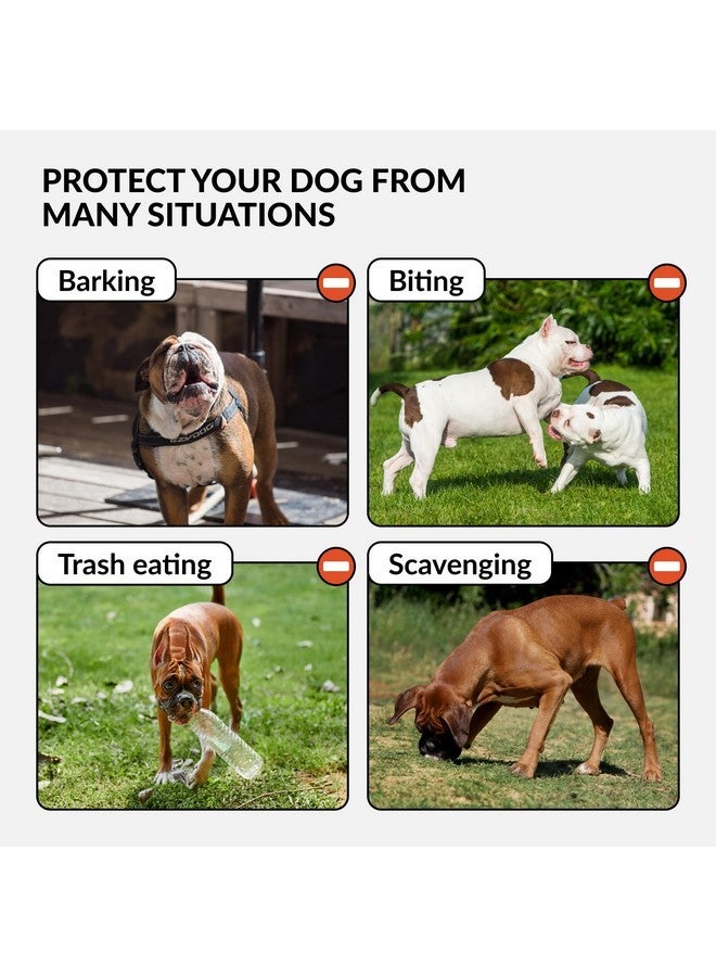 CollarDirect CollarDirect Leather Basket Dog Muzzle for Boxer, English American Bulldog Secure Anti-Barking Biting Chewing Adjustable Breathable (Brown) - Image 4