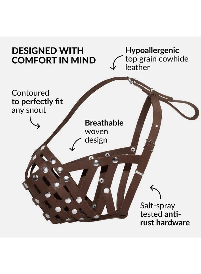 CollarDirect CollarDirect Leather Basket Dog Muzzle for Boxer, English American Bulldog Secure Anti-Barking Biting Chewing Adjustable Breathable (Brown) - Image 3