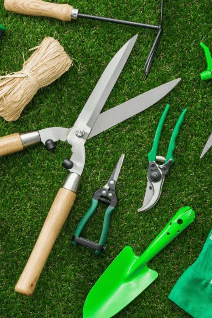 Garden Pruning Shears, Steel Blades, Wooden Handle, 23cm