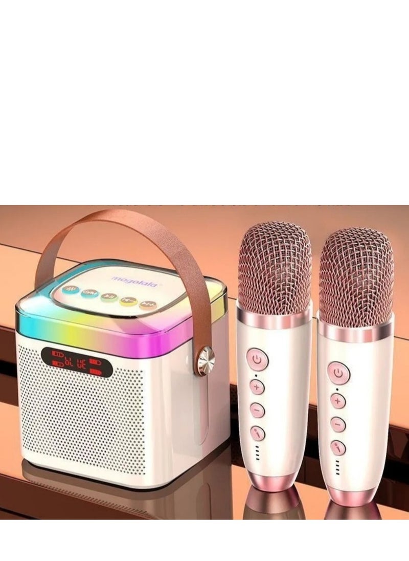 Generic - Stereo And 2 Microphones - Image 1