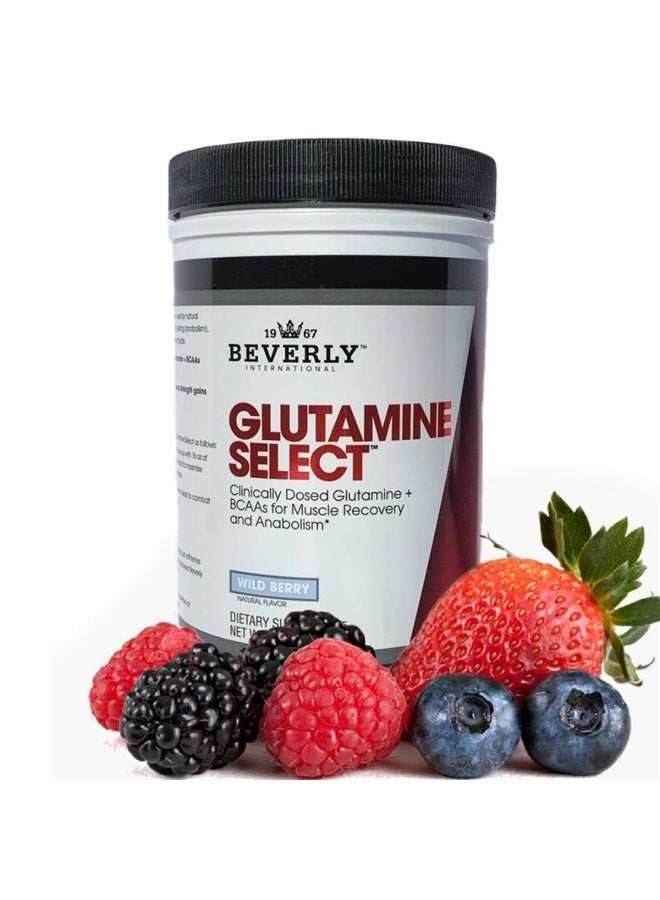 Beverly International Glutamine Select, 60 Servings. Clinically Dosed L-Glutamine and Amino Acid Formula for Lean Muscle and Recovery. Sugar-Free Powder. BCAA's. - Image 2