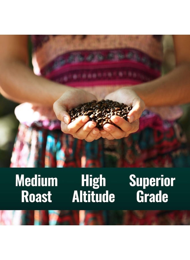 Natural Force Organic Clean Coffee Classic, Mold & Mycotoxin Free, Lab Tested for Toxins & Purity, Low Acidity, Incredible Taste & Aroma, , 12 oz - Image 2