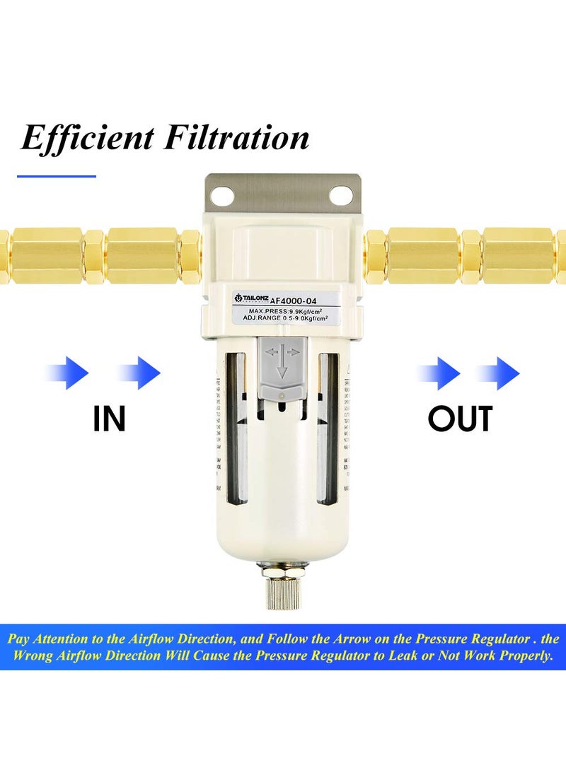 Tailonz Pneumatic 12 Inch NPT Air Filter Air Tool Compressor Filter AF400004
