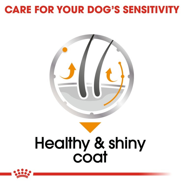 Royal Canin Canine Care Nutrition Coat Beauty Wet Food - Pouches, 12x85g - Image 4