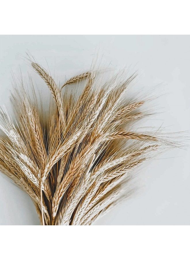 Eco Style Krystal Styling Gel - Adds Body and Shine to all Styles - Moisturizes and Maintains Healthy Hair - Strong, Weightless Hold - Ideal for any Hair Type and Color - Leaves No Residue - 8 oz - Image 4