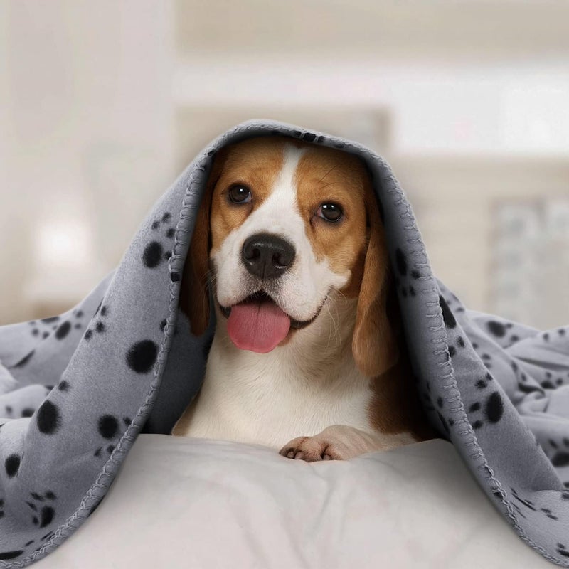 Luckam 6 Pack Washable Dog & Cat Blankets - Soft, Fluffy Fleece Sleep Pads for Puppies & Kittens, Warm Pet Bed Covers - Image 2