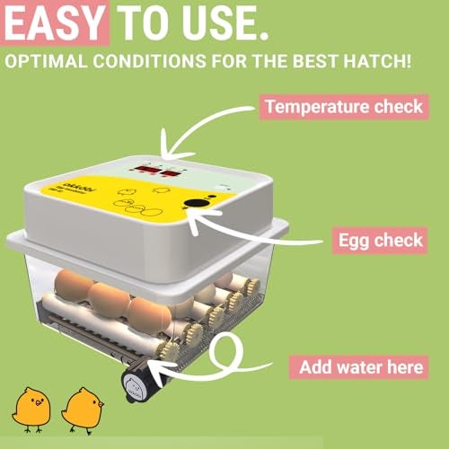 OKKÖBI OBI-12 Egg Incubators for Hatching Eggs – Incubator for 12 Eggs with Automatic Egg Turner - Brooder for Chicken Eggs, Quail, and Duck Eggs - Yellow - Image 2