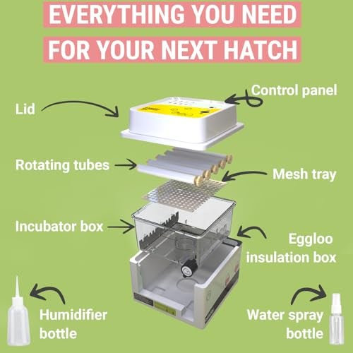OKKÖBI OBI-12 Egg Incubators for Hatching Eggs – Incubator for 12 Eggs with Automatic Egg Turner - Brooder for Chicken Eggs, Quail, and Duck Eggs - Yellow - Image 4