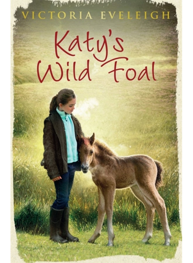 Katy's Exmoor Ponies: Katy's Wild Foal : Book 1 