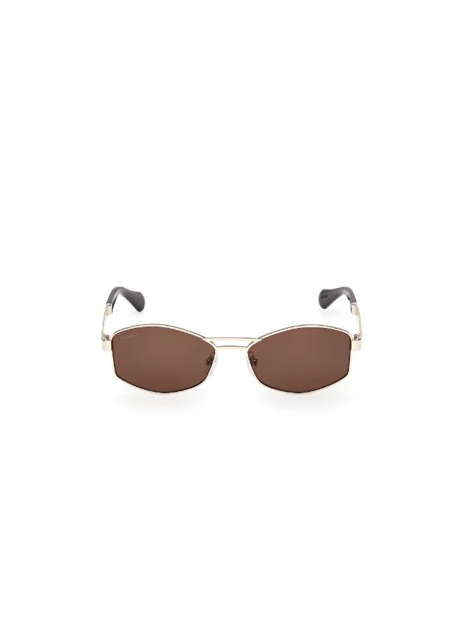 MAXCO butterfly sunglasses
