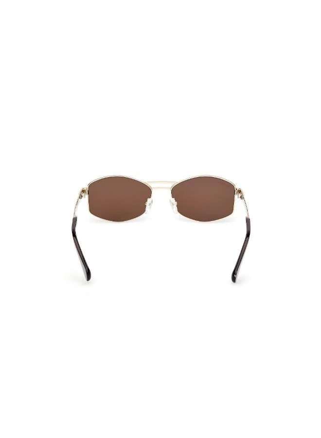 MAXCO butterfly sunglasses