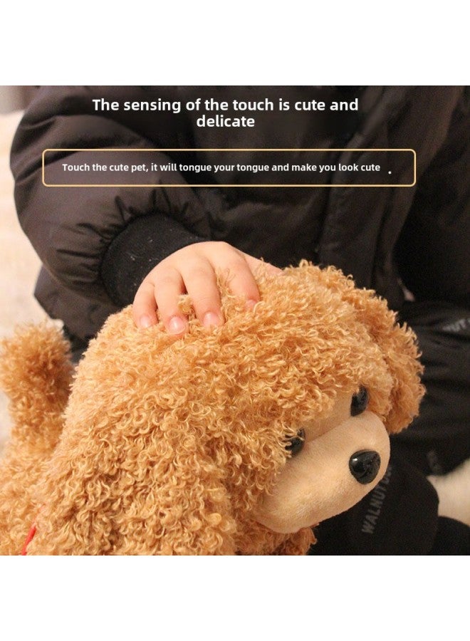 Children's Simulation Plush Toy Boys And Girls Teddy Dog Leash Music Doll Walking Can Call Song Dance Wholesale-Color:Brown - Image 4