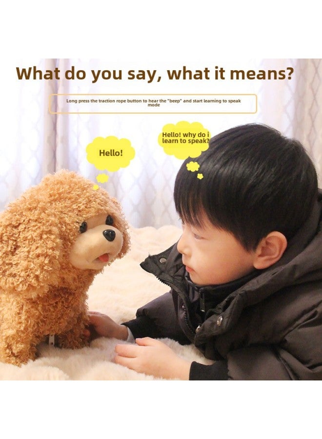 Children's Simulation Plush Toy Boys And Girls Teddy Dog Leash Music Doll Walking Can Call Song Dance Wholesale-Color:Brown - Image 3