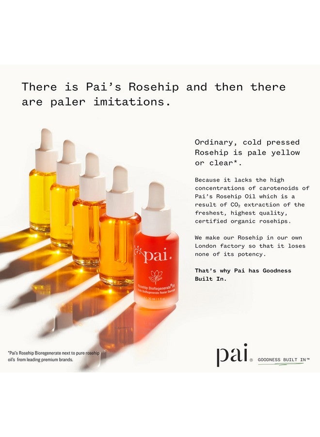 Pai Skincare Organic Rosehip Bioregenerate Universal Facial Oil Natural Vegan Sensitive Skincare (0.34 Fl Oz 10 Ml) - Image 4