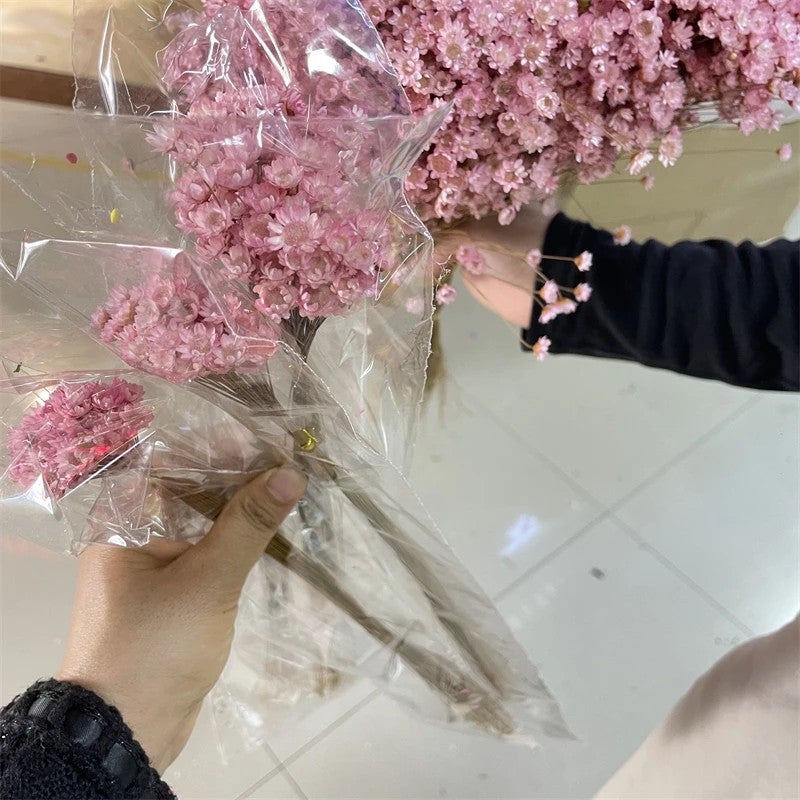 Bluejw Daisy Decorative Dried Flowers 50 Stems Natural Dry Flowers Brazilian Small Star for Wedding Home Decor - Dried Plants Included - Image 2