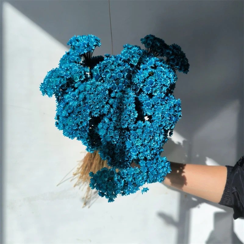 Bluejw Daisy Decorative Dried Flowers 50 Stems Natural Dry Flowers Brazilian Small Star for Wedding Home Decor - Dried Plants Included - Image 4