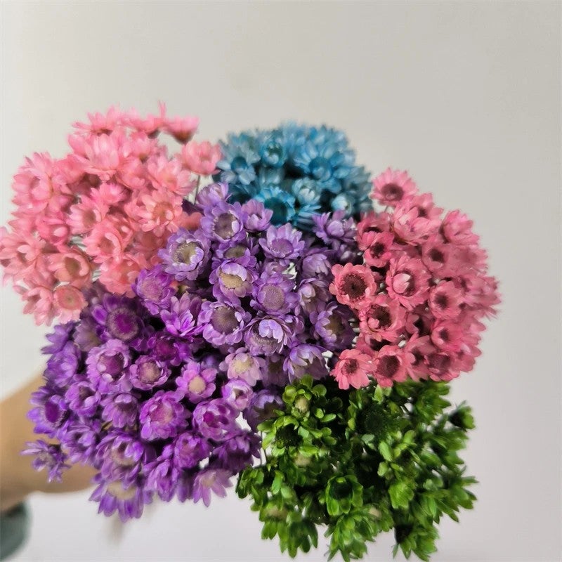 Bluejw Daisy Decorative Dried Flowers 50 Stems Natural Dry Flowers Brazilian Small Star for Wedding Home Decor - Dried Plants Included - Image 5