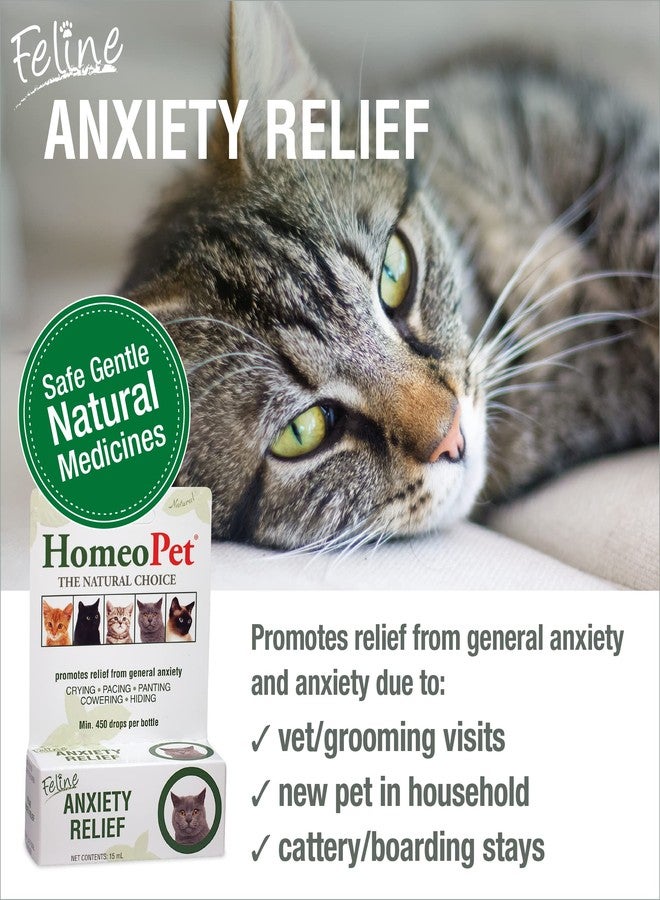 HomeoPet Feline Anxiety Relief, Natural Stress and Anxiety Support, Anxiety Supplement for Cats, 15 Milliliters - Image 2
