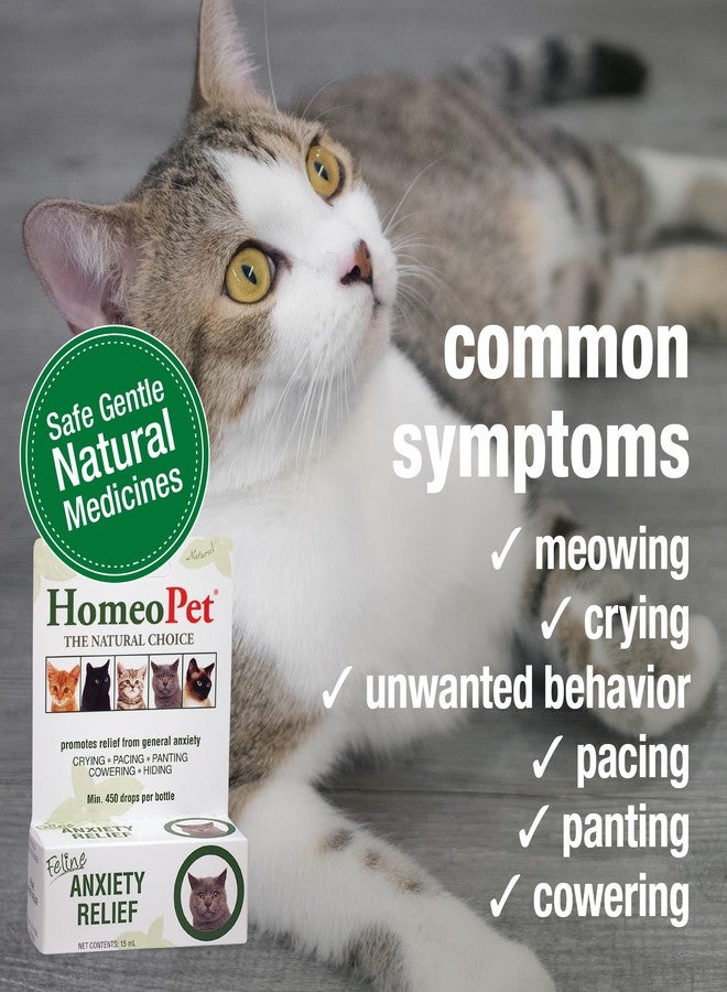 HomeoPet Feline Anxiety Relief, Natural Stress and Anxiety Support, Anxiety Supplement for Cats, 15 Milliliters - Image 3