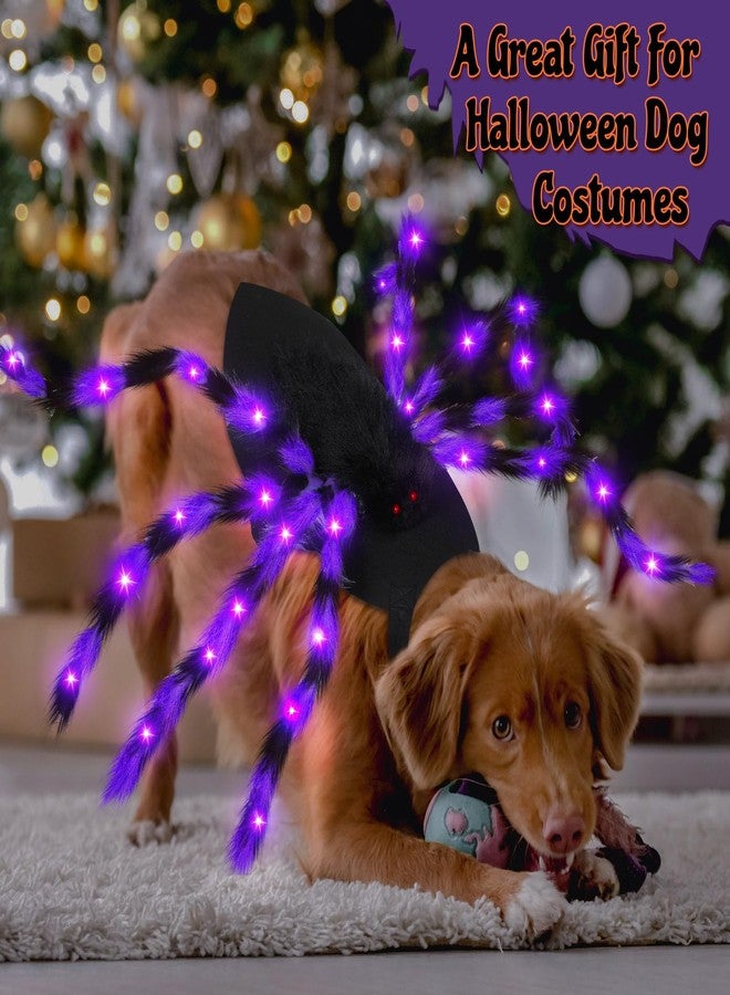 JaGely Halloween Costume for Dog, Dog Spider Costume with 64 LED Lights, Light up Furry Outfit for Medium Large Dogs Funny Cosplay Halloween Party (Purple) - Image 5