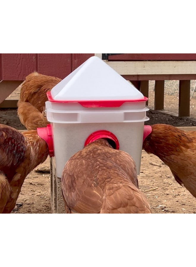 RentACoop Chick2Chicken 10lb BPA-Free 4-Port Feeder - Includes Anti-Roost Cone, Slider Port Cover, and Lid - Suitable for up to 20 Chicks & 12 Adult Chickens - Image 4