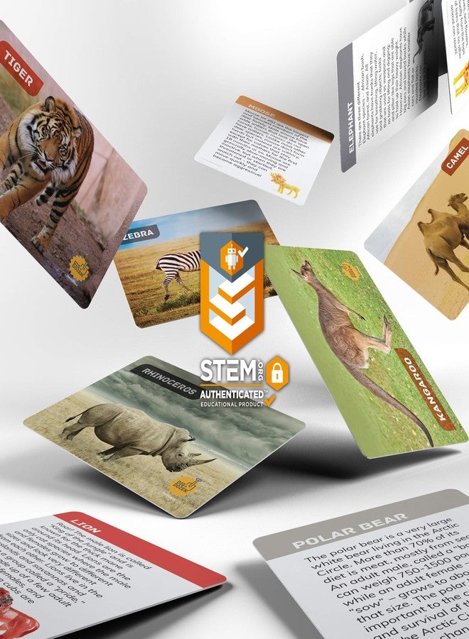 دان آند دارسى مجموعة حفر اثنتي عشرة بيضة - افتح ١٢ بيضة واكتشف ١٢ حيوانًا بريًا لطيفًا فريدًا من نوعه، مع بطاقات تعليمية - هدية عيد الفصح في مجالات الآثار والعلوم والتكنولوجيا والهندسة والرياضيات للأطفال - Image 3