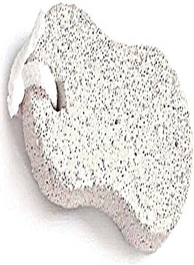 Antiqueshop Oval Shaped Natural Pumice Stone Pedicure Tool Callus Remover - Image 1