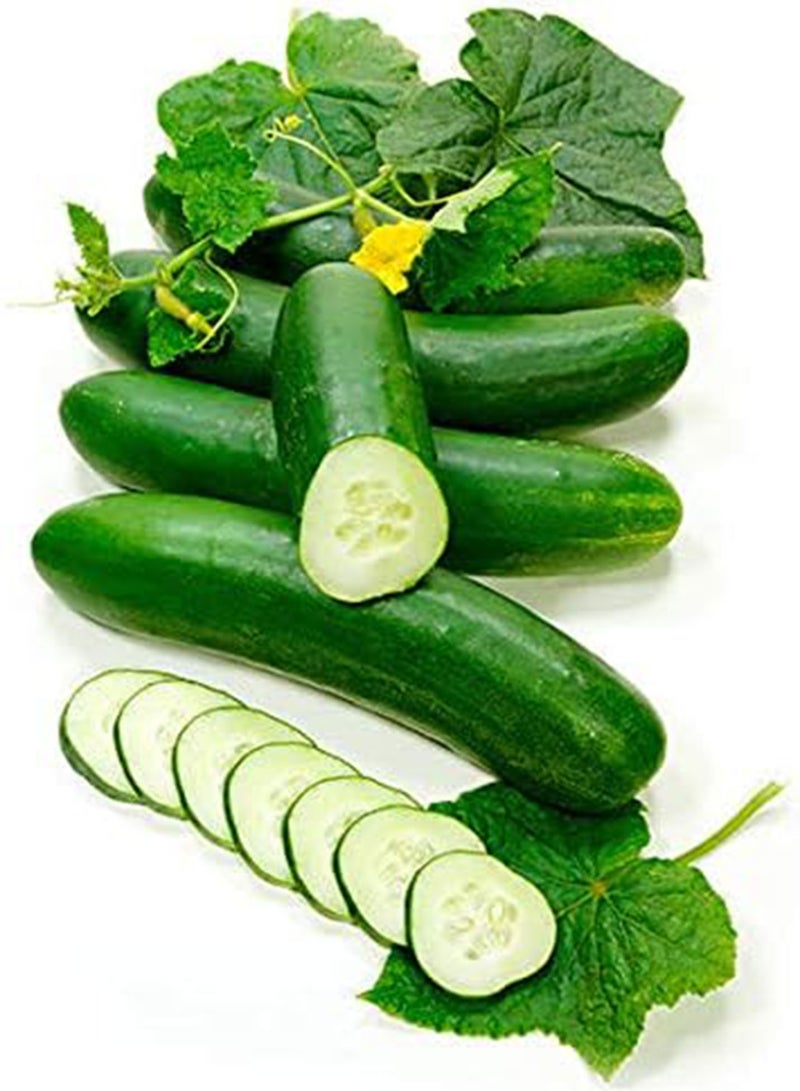 جي جوت - 30 قطعة من بذور الخيار الصغيرة المعلقة "ميني ستارز" F1 العضوية، بذور الخضار والفواكه عالية الغلة، معمرة، قوية للحديقة والشرفة/الفناء - Image 5