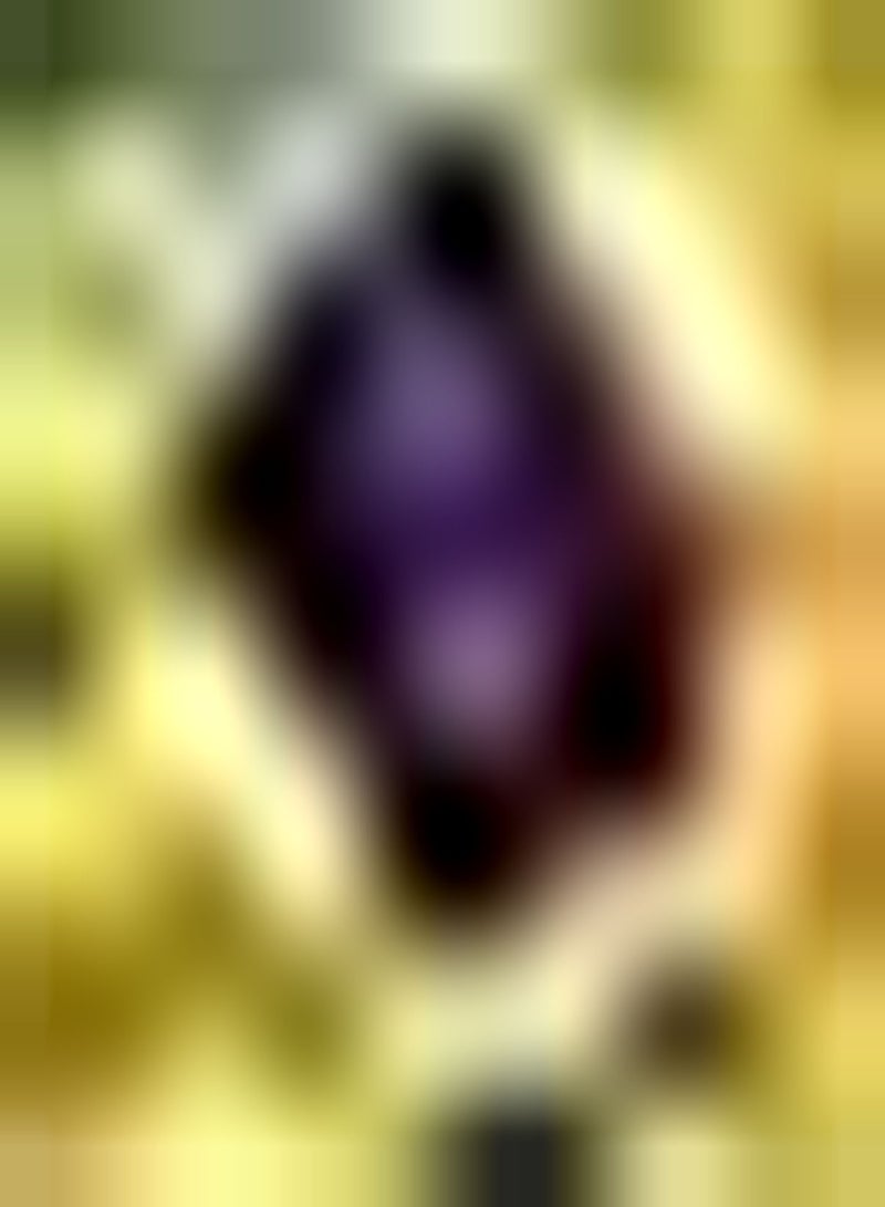 GGOOT 10pcs Lila Tulpenzwiebeln Sägekanten Mehrjährige Blumenzwiebeln Garten Hof Landschaft Dekoration Schnittblumenstrauß Pflegeleicht - Image 1