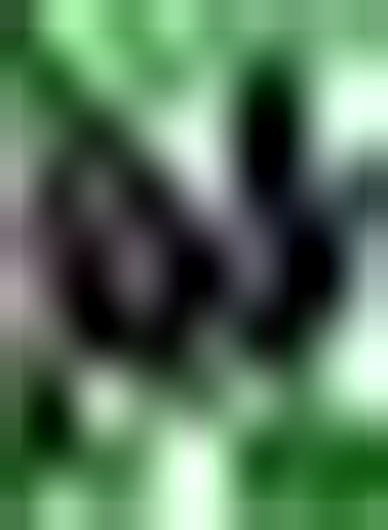 GGOOT 10pcs Lila Tulpenzwiebeln Sägekanten Mehrjährige Blumenzwiebeln Garten Hof Landschaft Dekoration Schnittblumenstrauß Pflegeleicht - Image 2