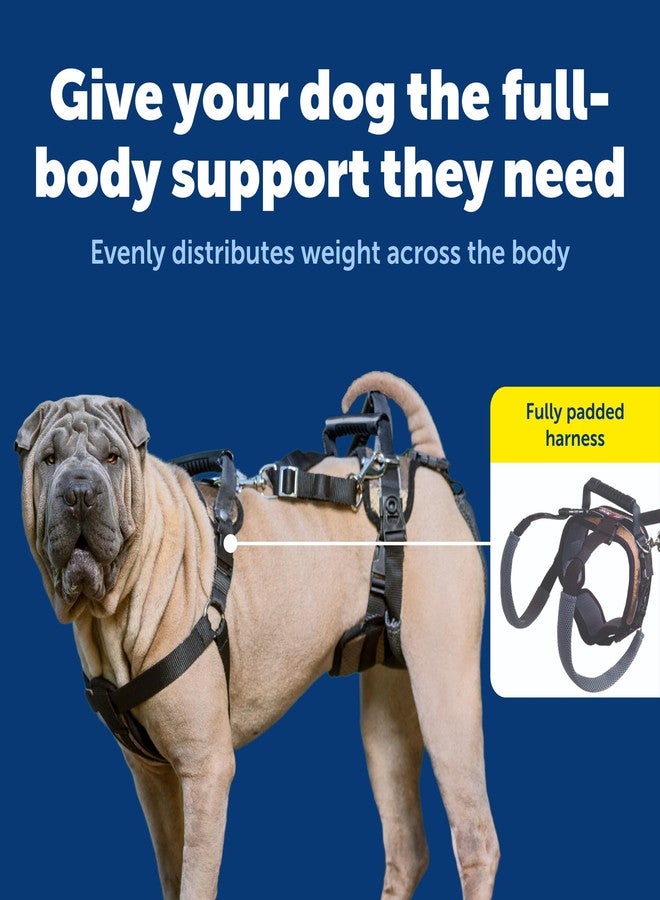 بيت سيف حزام رفع الكلاب PetSafe CareLift، حزام رفع ودعم لكامل الجسم مع مقبض وحزام كتف، متوسط الحجم - Image 3
