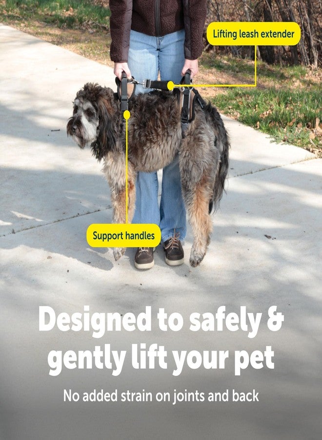 بيت سيف حزام رفع الكلاب PetSafe CareLift، حزام رفع ودعم لكامل الجسم مع مقبض وحزام كتف، متوسط الحجم - Image 4