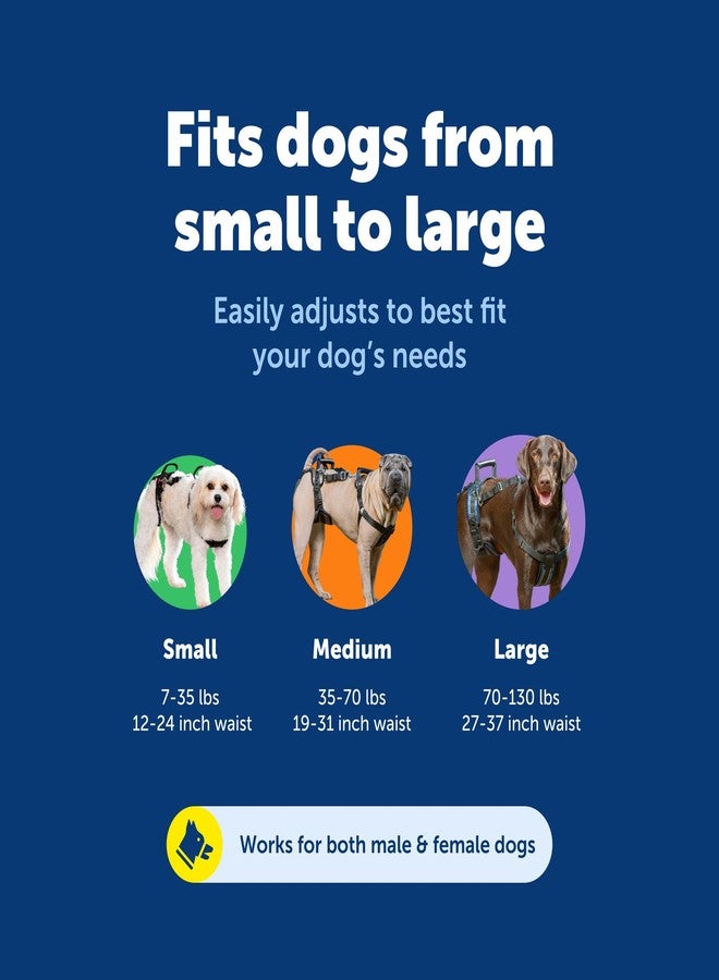 بيت سيف حزام رفع الكلاب PetSafe CareLift، حزام رفع ودعم لكامل الجسم مع مقبض وحزام كتف، متوسط الحجم - Image 5