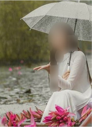 Lightweight waterproof transparent folding umbrella - pzsku/ZAD831839ED11F1F26133Z/45/_/1699636199/3d399b62-a54b-4846-b2aa-5b6e041cf325