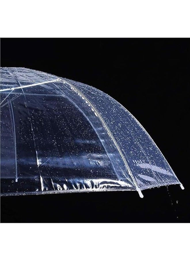 Lightweight waterproof transparent folding umbrella