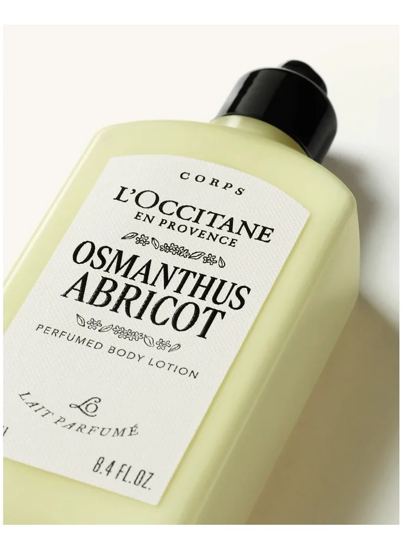 L'occitane Osmanthus Abricot Perfumed Body Lotion