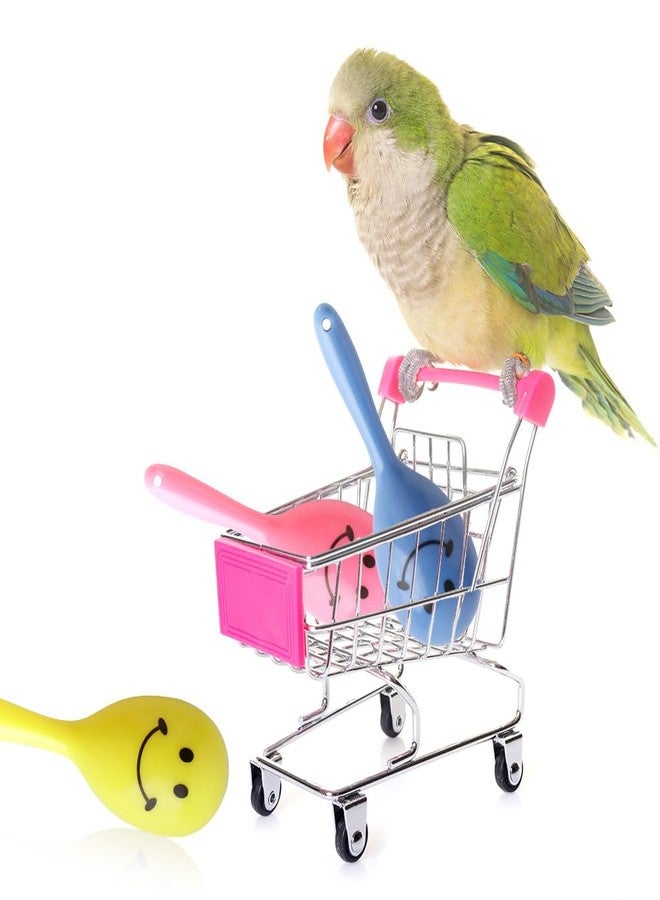 DQITJ 9 Pcs Colourful Mini Ball Sand Hammer Parrot Rattle Shaker Musical Sound Toy Intelligent Sand Hammer Foot Toy for Bird Parrot Cockatiel Conure Lovebird Parakeet Canary (Colors May Vary) - Image 2