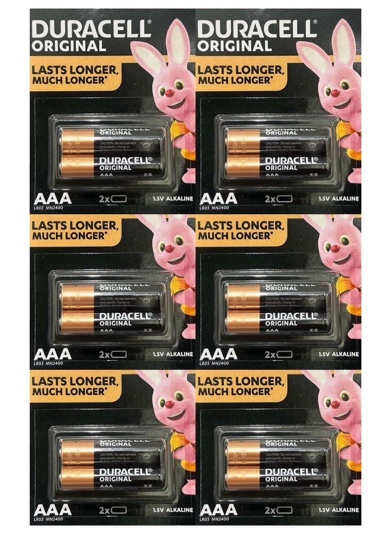 Duracell 12 Pcs Duracell AAA Alkaline Batteries, 1.5V MN2400 LR03, Long-Lasting Power, Leak-Resistant Design