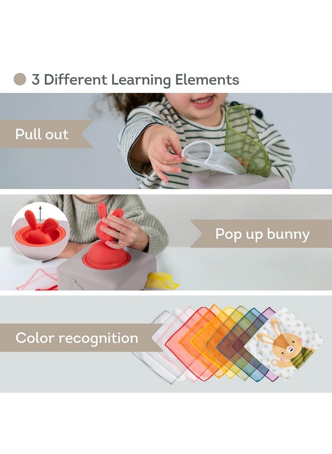 Taf Toys Taf Toys Baby Tissue Box Montessori Toys for Babies - Sensory & Motor Skills Development Silicone Toy with 10 Fabric Tissues, Pop-Up Bunny, Toys for 1 Year Old Boy Girl Preschool Toy  - Image 2