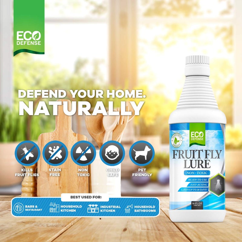 Eco Defense مبيد ذباب الفاكهة Eco Defense - مصيدة طبيعية لذباب الفاكهة وعلاج لمبيد ذباب المجاري للتحكم في الذباب الداخلي في المطبخ والمطاعم والمزيد 16 أونصة - Image 4